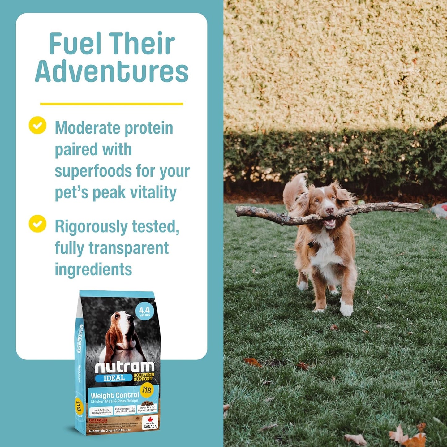 I18 Healthy Weight Management Dry Dog Food | High Protein, Low Fat Chicken Meal & Peas Kibble | Muscle Builder Formula for All Breeds (4.4 Pounds)