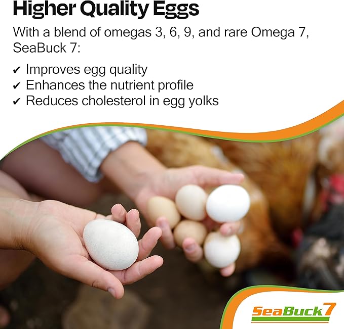 Chicken & Bird Supplement with Sea Buckthorn to Improve Egg Quality (1-Month Supply for 20 Chickens) – Earlier Laying, Egg Production Booster & Higher Quality Eggs