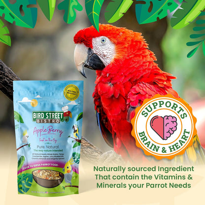 Bird Street Bistro Parrot Food - Parakeet & Cockatiel Food - Cooks in 3-15 min with Natural & Organic Grains, Legumes, Non-GMO Fruits, Vegetables & Health-Oriented Spices