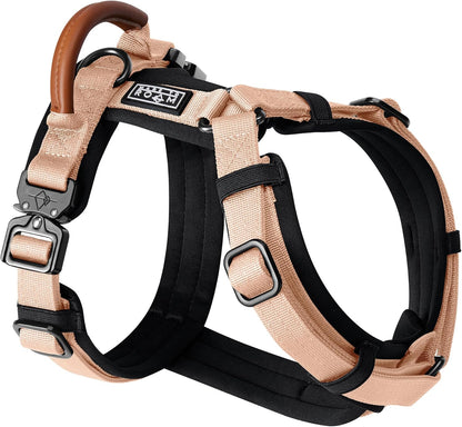 MADE TO ROAM Premium Explorer Harness - Y-Shaped Dog Harness with Adjustable Durable Nylon, Soft Padding, Metal Buckles and Leather Handle for Small, Medium, Large Dogs (Carolina Blooms, Size 2)