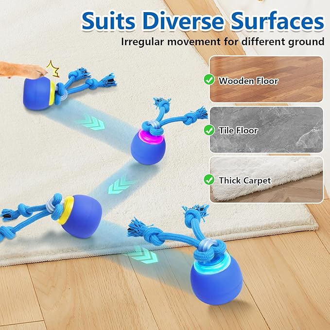 Interactive Dog Toys with Motion Activated, Squeaky Dog Toy Active Rolling Ball for Puppy and Medium Dogs, USB Rechargeable, Wicked Ball