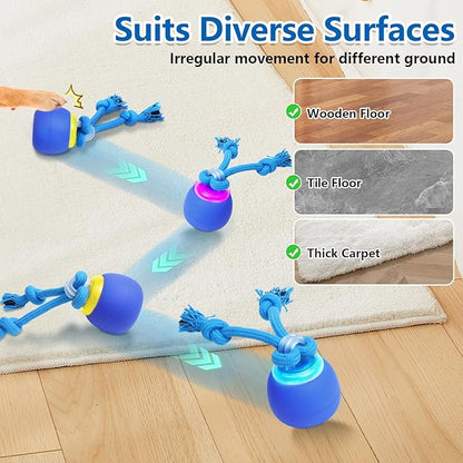 Interactive Dog Toys with Motion Activated, Squeaky Dog Toy Active Rolling Ball for Puppy and Medium Dogs, USB Rechargeable, Wicked Ball