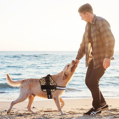 Dogline Dog Harness, Reflective No-Pull Adjustable Vest with Handle for Walking, Training, Breathable, No - Choke Harness for Small, Medium or Large Dogs Room for Patches Leopard Brown XL 33"-46"