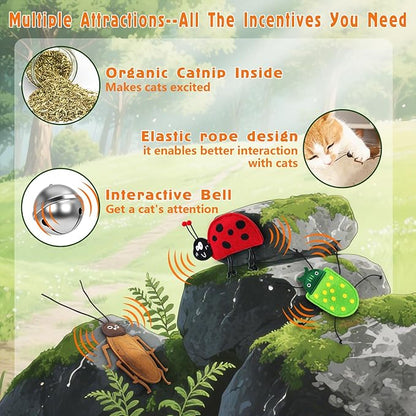3 Pack Realistic Bug Catnip Cat Toys,Bell Sould Kitten Bite Interactive Kicker Toys for Cat's Natural Hunting