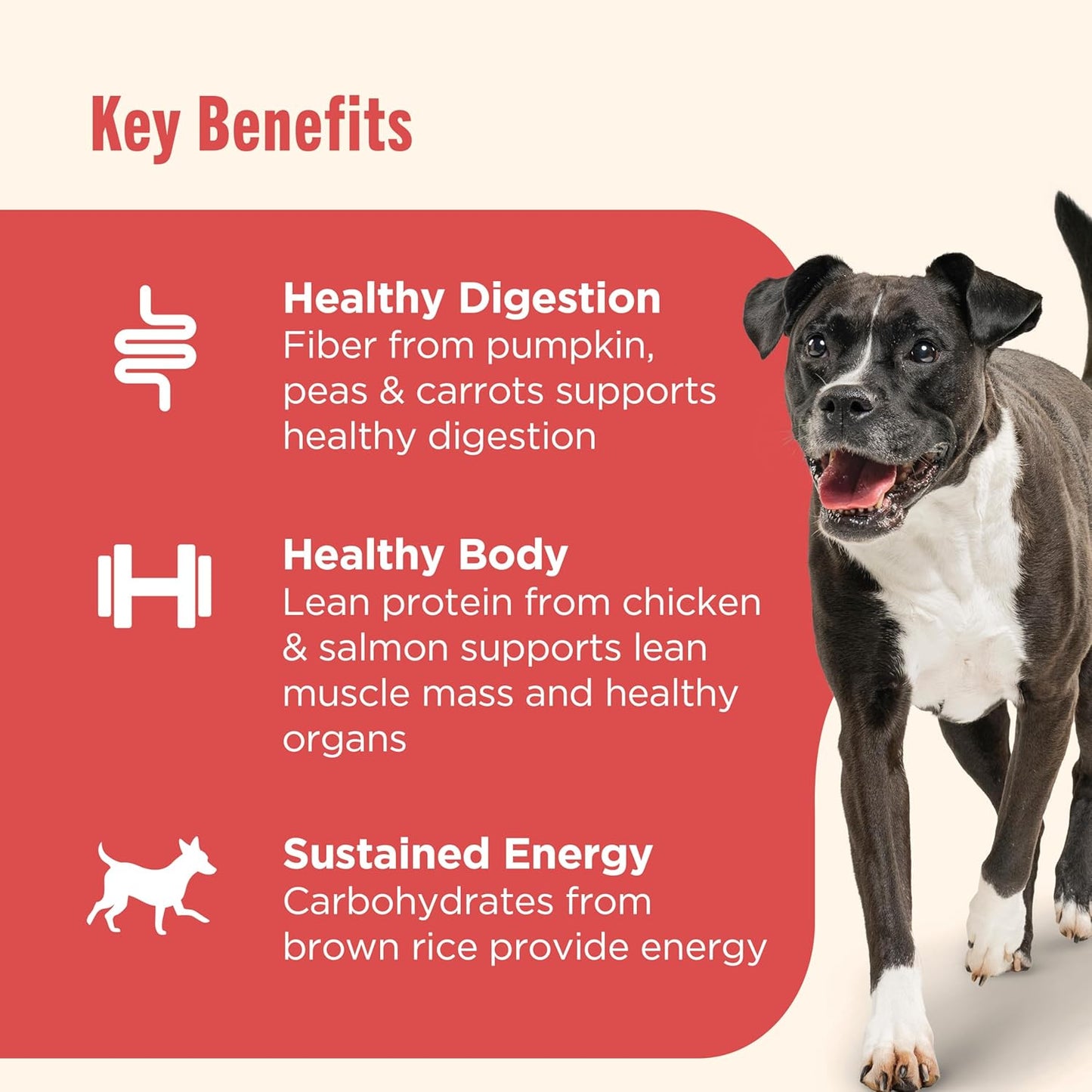Nutrish Gentle Digestion Premium Paté Wet Dog Food, Real Chicken, Pumpkin & Salmon Recipe, 13 oz. Can, 12 Count (Rachael Ray)