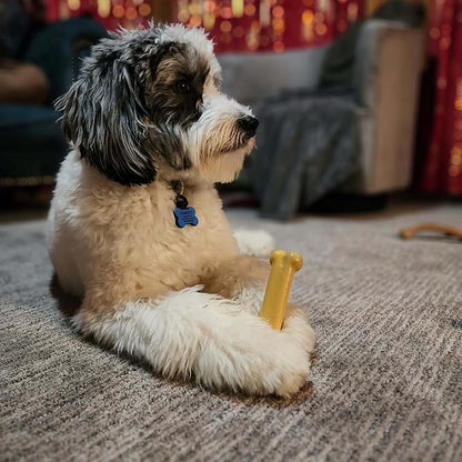 Nylabone Original Bone Power Chew Toy for Dogs, Durable & Tough Dog Toys for Aggressive Chewers, Peanut Butter Flavor, Small - Up to 25 lbs - Up to 25 Ibs, 1 Count