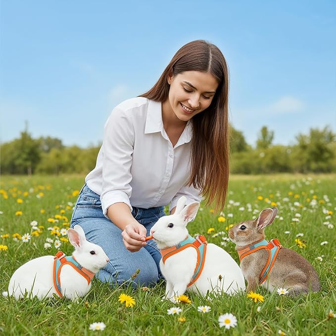 Bunny Harness and Leash Set, Adjustable Double Buckles Breathable Mesh Rabbit Vest with Reflective Strips, Escape Proof Small Pet Walking Training Gear for Rabbits, Kittens, Ferrets, Guinea Pigs (S)