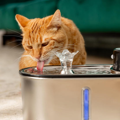 Replacement Filters for Stainless Steel Cat Water Fountain – 4 Months Set of Activated Carbon & Ion Exchange Resin for Fresh & Clean Drinking, Pack of 8 Filters