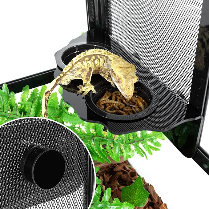 REPTI ZOO Magnetic Gecko Feeding Ledge, Acrylic Aboreal Feeding Ledge with 6PCS Cups, Strong Magnetic Reptile Ledge Gecko Food Ledge