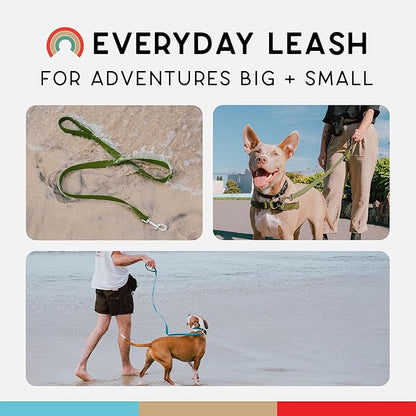 Wildebeest Funston Waterproof Dog Leash - Heavy Duty 4ft Long Leash for Small, Medium and Large Dogs - 1000D Nylon, Scratch & Stink-Resistant & Pill-Free - Nylon Wrap Handle (3/4" Wide, 4 ft Length)