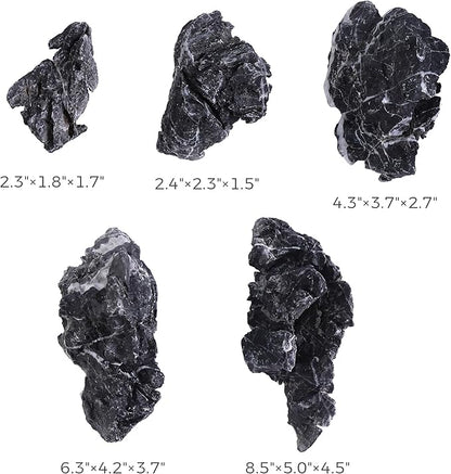 2-8 Inches Natural Seiryu Stone 5 PCS Aquarium Rocks for Aquascaping, Aquarium Landscaping, Terrariums, Fish Tank Decoration, Vivariums, Paludarium, Reptile and Amphibian Enclosures