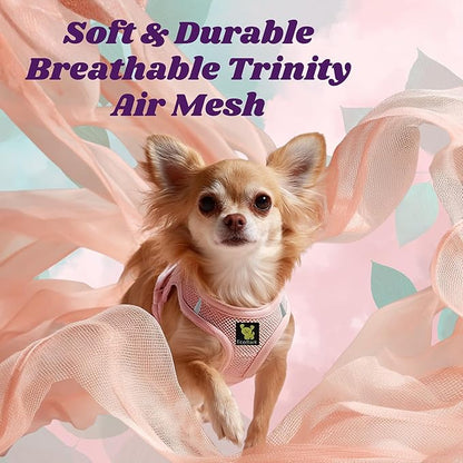 EcoBark Teacup Dog Harness - Step in Dog Harness for XXS, XS, and Small Dogs - Eco-Friendly Soft Luxurious Mesh Halter Vest - No Pull Mini Chest Body Collar - for Puppy & Toy Breeds (XXS, Baby Pink)