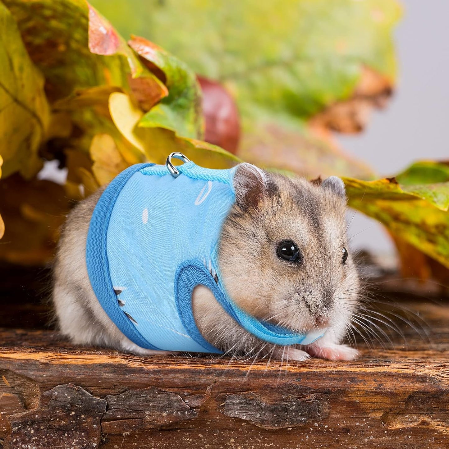 Weewooday 3 Pieces Guinea Pig Harness with Leash Small Pet Harness Fruit Plaid Pattern Adjustable Padded Walking Vest for Pet Hamster Squirrel Animals(Pineapple, Blue, Green Plaid,Medium)