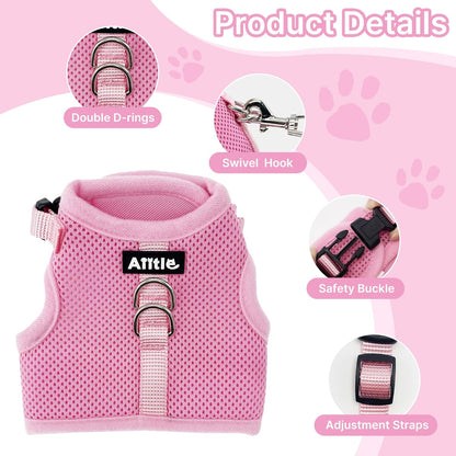 AIITLE Adjustable Rabbit and Leash Set - Lightweight & Portable, Padded Vest with Magic Tape Design, Indoor/Outdoor Use (Training, Hiking) - Fits Hamsters, Rats, Iguanas, Puppies, Cats, Pink M