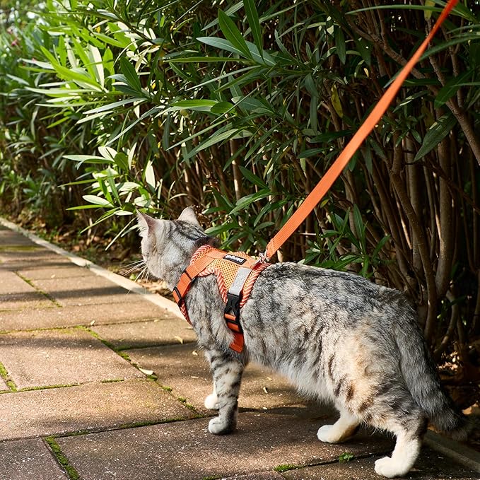 Cat Harness and Leash Escape Proof Medium Kitten Harness Bengal Cat Vest for Walking Travel, Orange, M