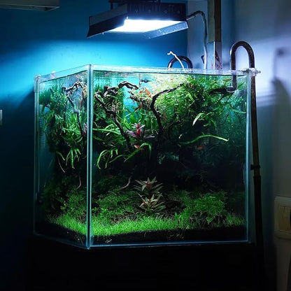 Ultum Nature Systems Driftwood - Spider Drift Wood for Fish Tank, Planted Tank, Terriarium, Paludarium - Versatile Natural Driftwood Decor, Events Wood Centerpiece - Spider Wood, Large (15-20")