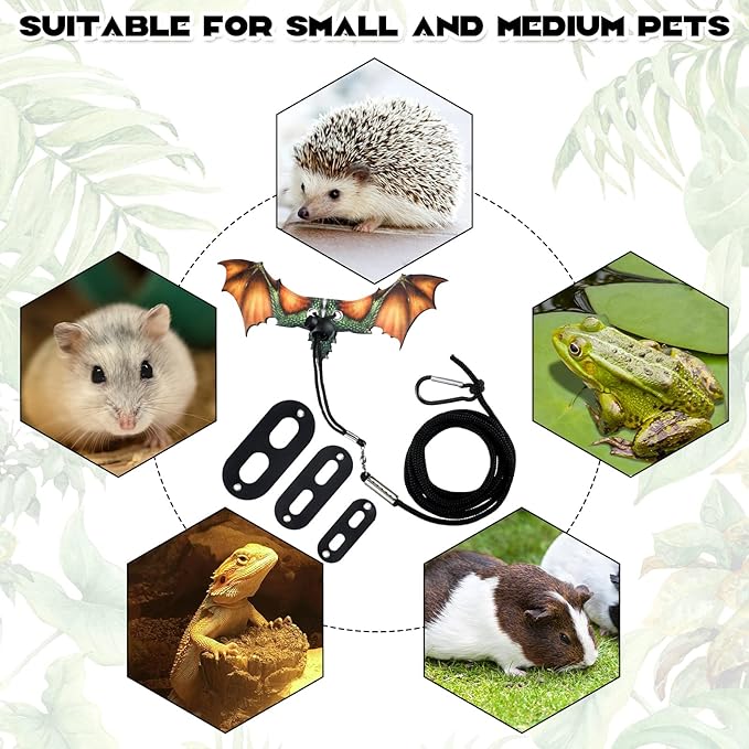 Weewooday 3 Pack Bearded Dragon Leash Harness Removable Lizard Leash for Dragons Reptiles, Safety Outdoor Walking, S, M, L,(Orange)