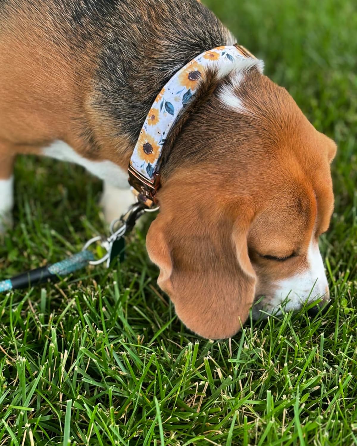 Elegant little tail Dog Collar, Sunflower Pattern Pet Collar Durable Cute Dog Collars Summer Fall Female Pet Gift Adjustable Dog Collar for X-Small Dogs