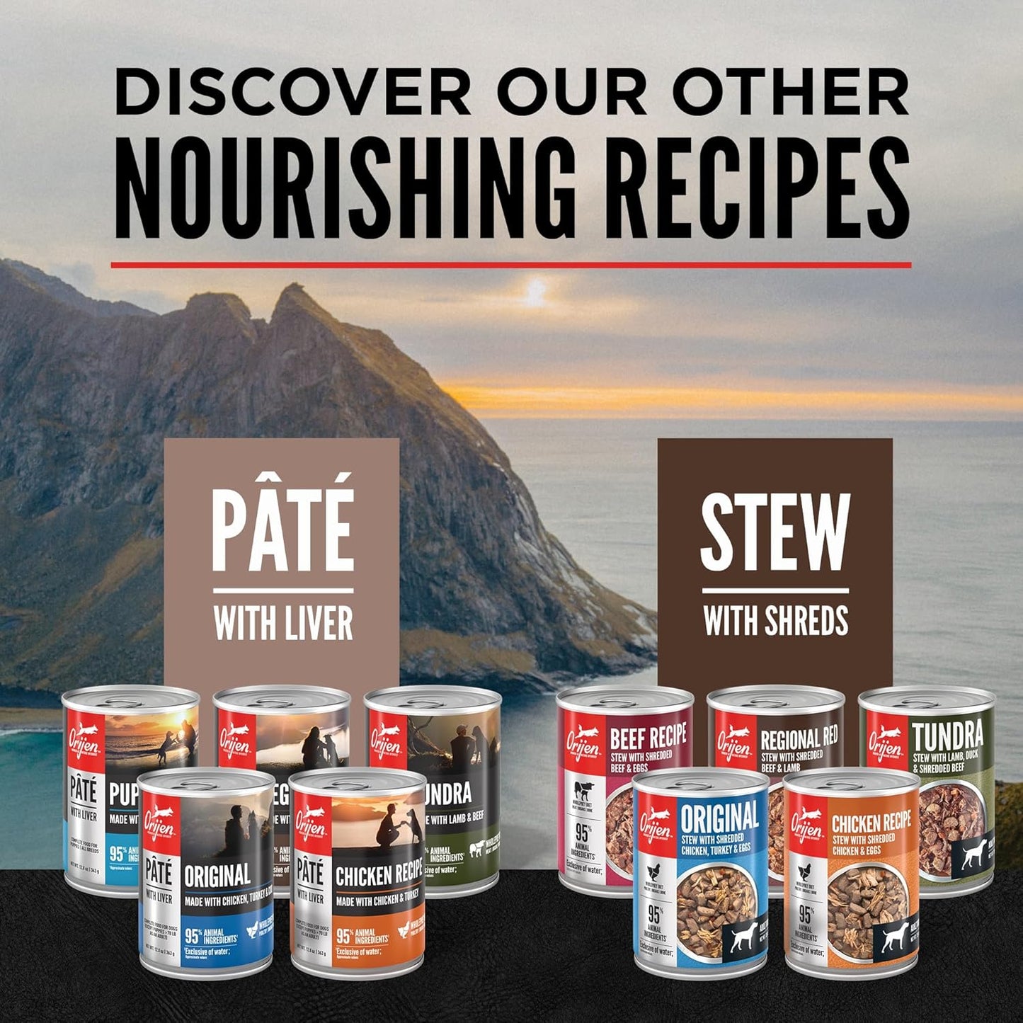 ORIJEN Pate Wet Dog Food Regional Red Recipe with Liver 12.8oz Cans (12 Count)