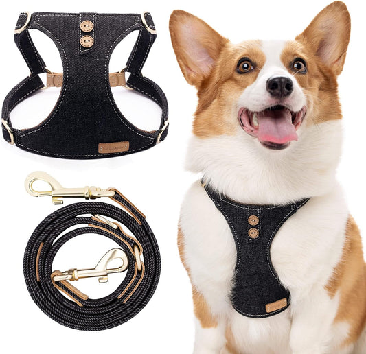 Dog Harness, No Pull Dogs Harness and Multi-Function Leash Set for Medium Dogs Easy Walk Everyday Adjustable Soft Dog Vest Harness Fashionable Dog Accessories Black-Button-M(16lb-35lb)