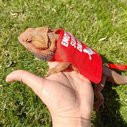 Romansk Bearded Dragon Harness and Leash Set - Escape Proof Adjustable Lizard Reptiles Harness with Short Leash for Walking Outdoor - Fun Emotional Support Dragon Designs