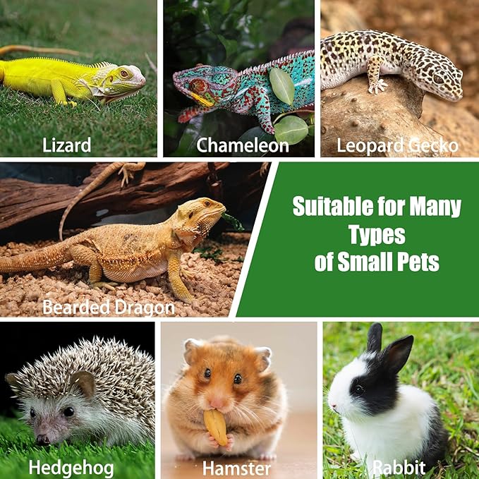 Esmorah Bearded Dragon Carrier and Leash Harness with Wings, Small Animal Sling Carrier and Reptile Carrier, Lizard Adjustable Harness and Sling Bag for Outdoor Travel Walking Rest