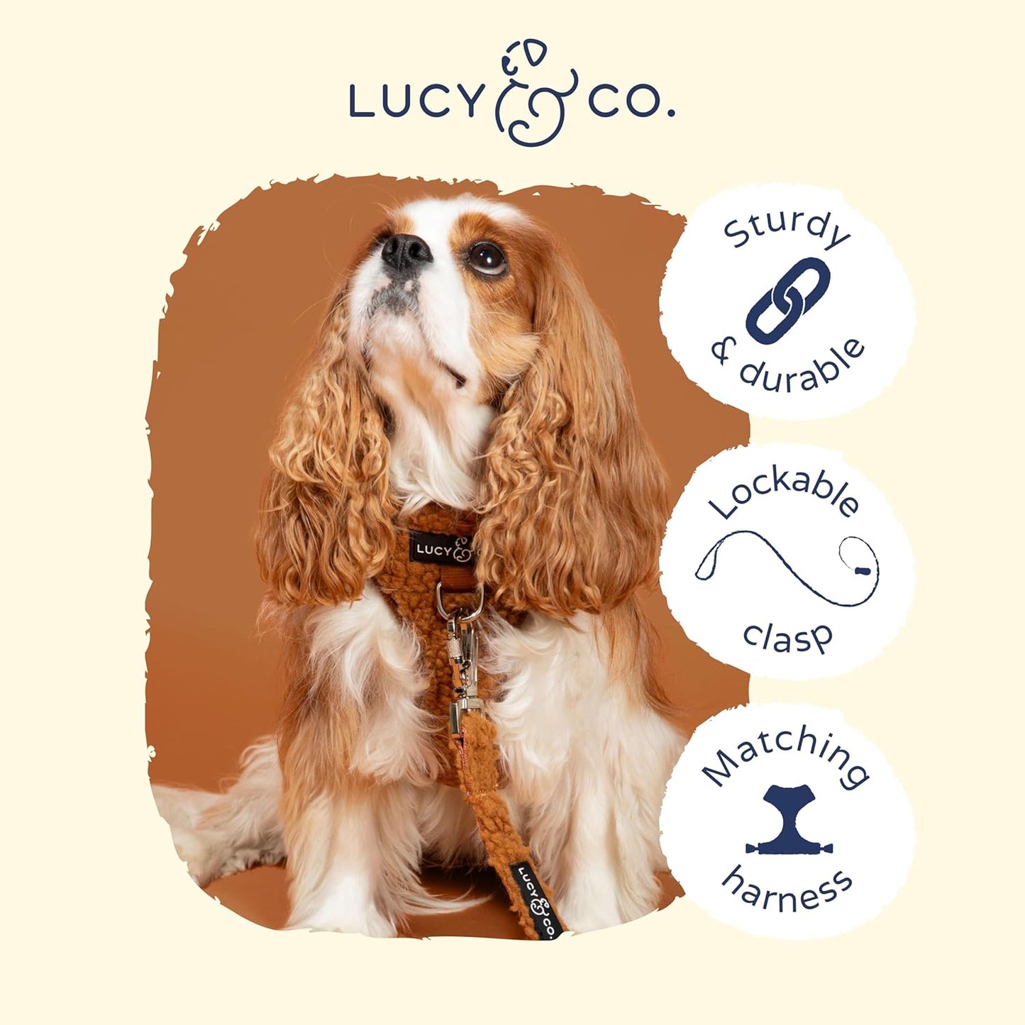 Lucy & Co. 5 Foot Dog Leash - Best Designer Leashes for Dogs, Puppy Accessories Supplies (Small, Teddy Brown), The Cinnamon Teddy Leash