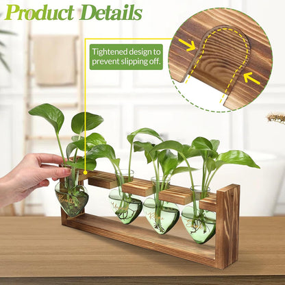 Plants Propagation Stations Plant Terrarium Kit for Bathroom Glass Planters for Indoor Plants Bathroom Decor Accessories - Relax Soak Unwind Breathe