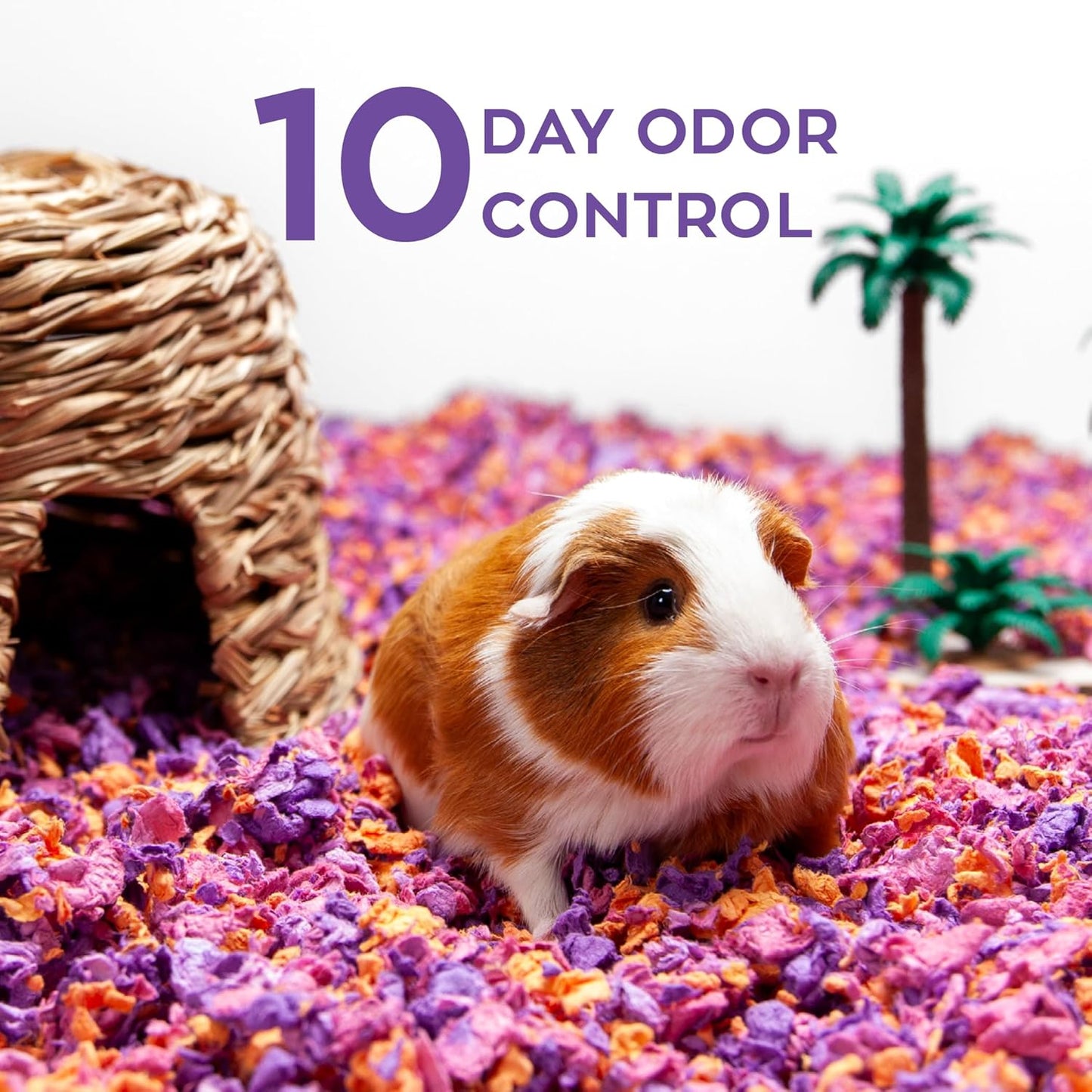 carefresh Dust-Free Beach Party Natural Paper Small Pet Bedding with Odor Control, 23L