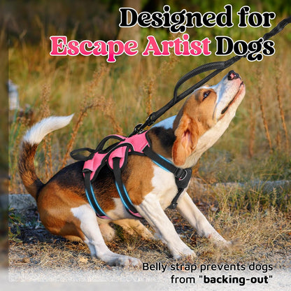 rabbitgoo Escape Proof Dog Harness, Soft Padded Full Body Pet Harness, Reflective Adjustable No Pull Vest with Lift Handle and Leash Clip for Large Dogs Walking Hiking Training, S, Pink