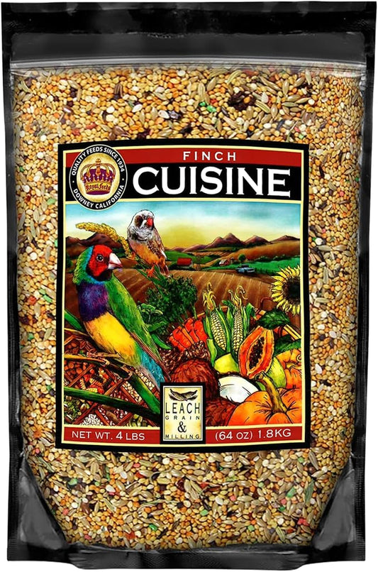 Finch Cuisine 4 Lbs, Finch Food, Nutrient-Rich Blend Bird Seed, Birdseed for Finches and Small Birds, Support Daily Energy, Growth & Healthy Balanced Diet, No Mess Bird Seed