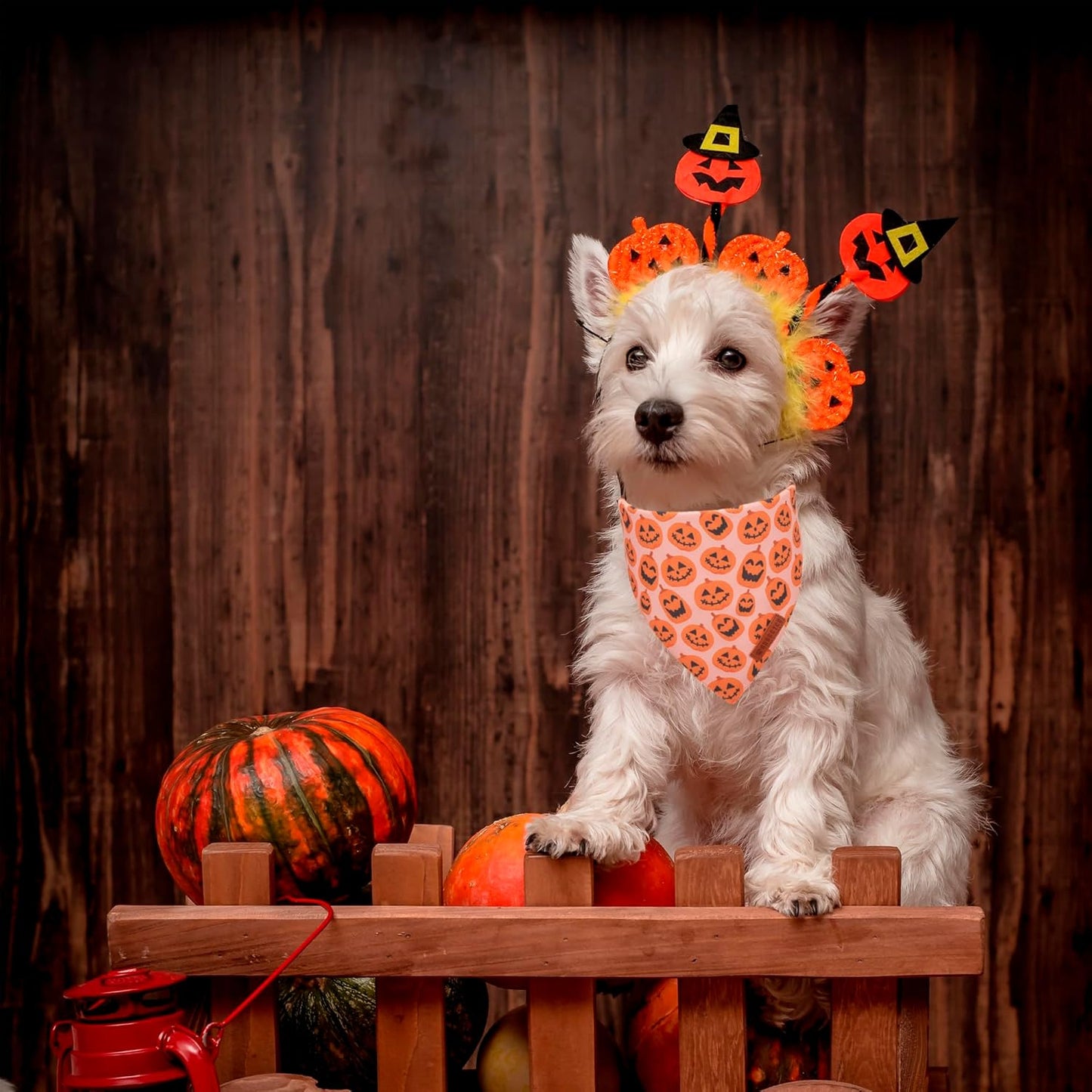 ADOGGYGO Halloween Dog Bandana, Pumpkin Ghost Pet Scarf, Premium Durable Fabric, Adjustable Fit Halloween Bandanas for Small Dogs Pets (Small)