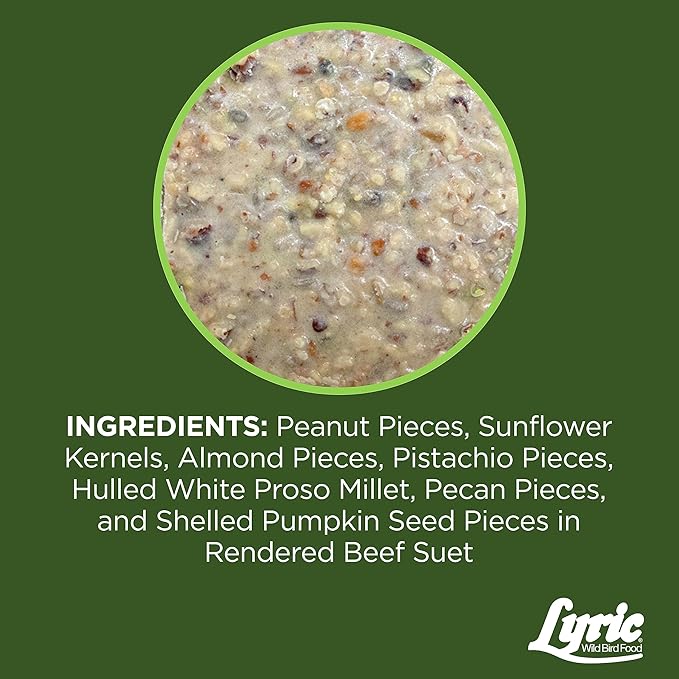Lyric Fine Tunes No Waste Wild Bird Seed Suet Cakes for Wild Birds, 12 oz. (12 Pack)
