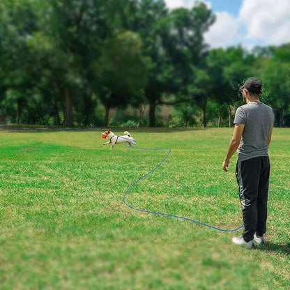 Rypet Reflective Cat Long Leash - 50 FT Escape Proof Walking Leads Yard Long Leash Durable Safe Personalized Extender Leash Traning Play Outdoor for Kitten, Puppy, Rabbit and Small Animals