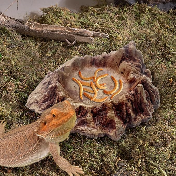 Rockery Reptiles Food Bowl,Amphibian Feeding Bowl Landscaping Tank Accessory,Small Pets Water Dish Terrarium Decor for Lizards,Gecko,Chameleon,Snake,Tortoise,Brown,1 Piece