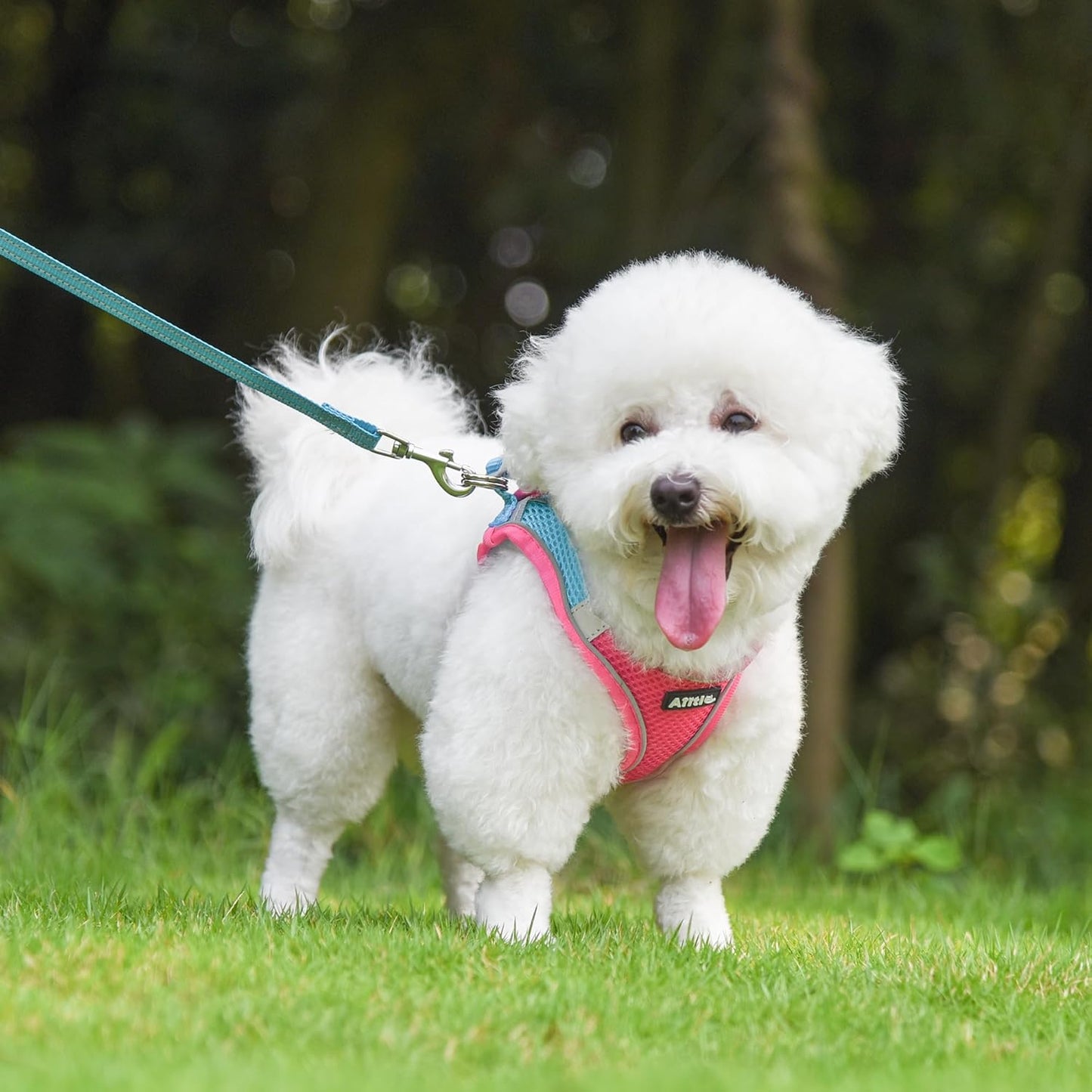 AIITLE Step in Dog Harness and Leash Set - Summer No Pull Escape Proof Vest Harnesses with Soft Mesh and Reflective Bands, Adjustable Pet Outdoor Harnesses for Small and Medium Dogs Hot Pink M