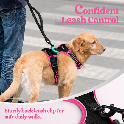 rabbitgoo Dog Harness No Pull with 2 Leash Clips, Adjustable Soft Padded, Reflective Oxford No Choke Pet Vest with Easy Control Handle for Large Dogs, Black & Hot Pink, M