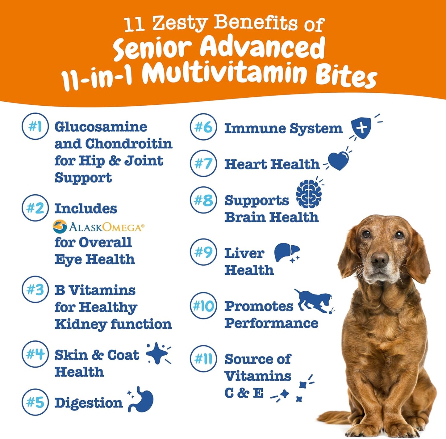 Zesty Paws Senior Dog Multivitamin Treats - Glucosamine for Dogs + Digestive Enzymes & Probiotics - Grain Free Dog Vitamins and Supplements for Skin & Coat + Immune Health Chicken - Advanced - 60ct