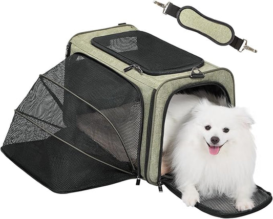 Petsfit Expandable Cat Carrier Dog Carrier, Soft-Sided Collapsible Portable Pet Carrier, 19x12x12, Green