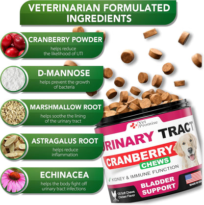 Dog UTI Treatment - Cranberry Supplement for Dogs UTI - Bladder Control - Urinary Tract Infection Treatment Medicine - Cranberry Supplement Vitamins Multivitamin Chews - Made in USA