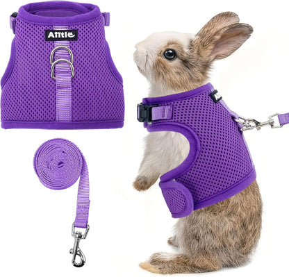 AIITLE Lightweight Escape Bunny Harness and Leash Set - Air Mesh Vest with Double D-Rings, Adjustable & Magic Tape Design, for Ferret/Cat/Puppy Training and Hiking Adventures, Purple L