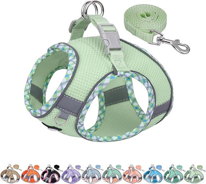 AIITLE Tiny Dog Harness - Lightweight Mesh Step-in Vest for Puppy, Reflective & Escape-Proof Design with High-Stick Magic Tape - Indoor/Outdoor Use for Chihuahua, Maltese, Shih Tzu(Sage, XXXS)