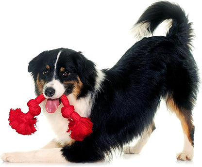 Playology Dog Toys | Dri-Tech Rope Toy Tug of War Rope for Aggressive Chewers | Medium Beef Scented Toy - Easy to Clean and Made from Non Toxic Materials