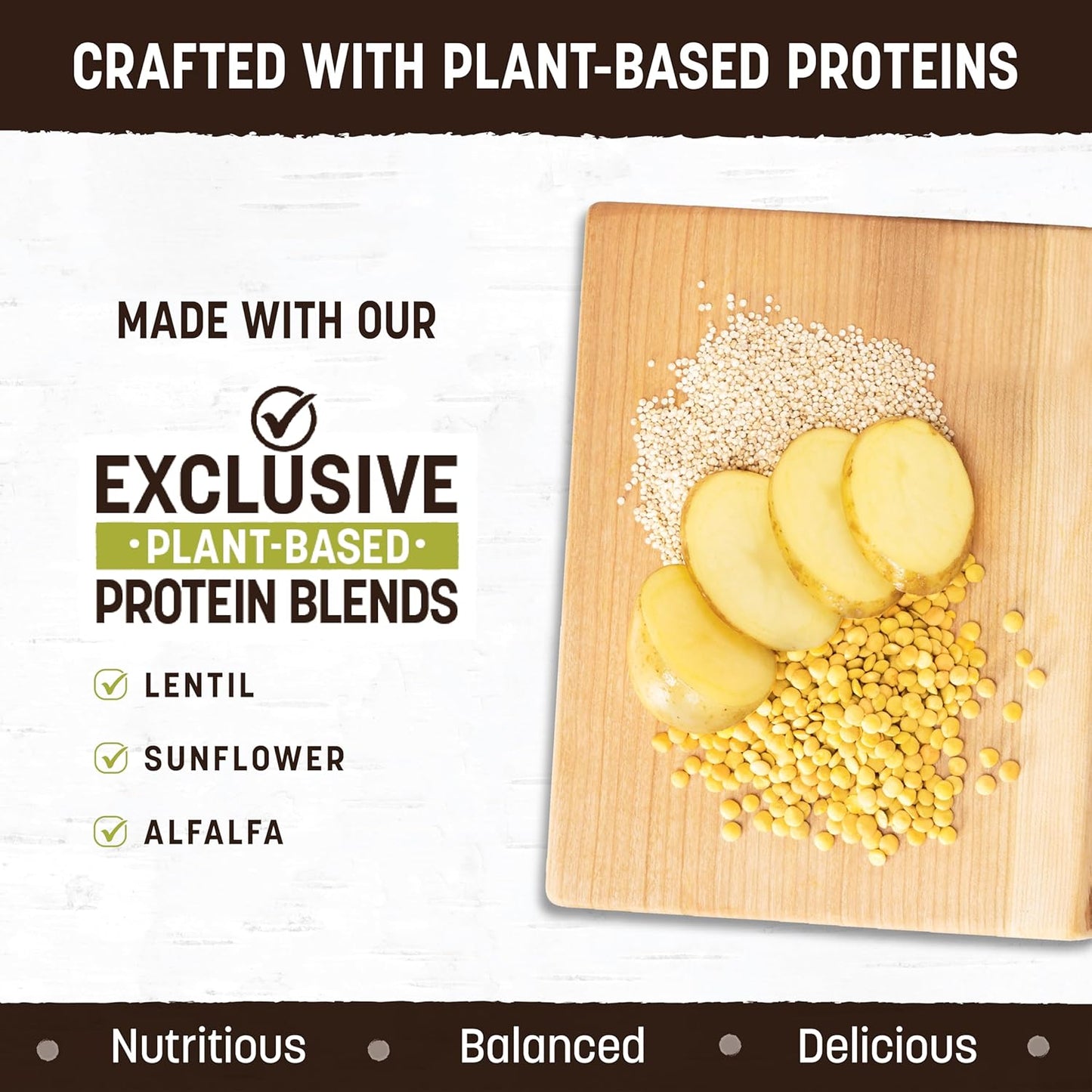 Earth Animal Wisdom Air Dried Dog Food - from The Seed Recipe Premium Natural Dry Dog Food for All Breeds & Ages - 2 Lbs Bag