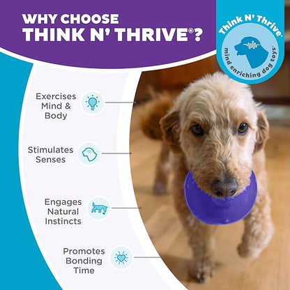 Outward Hound Lil' Snoop Interactive Treat Dispensing Dog Toy, Puzzle Ball Slow Feeder for Small to Medium Dogs, Mint-Scented for Mental Stimulation & Boredom Relief, BPA-Free, 3.9-Inch, Purple