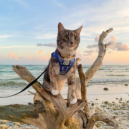 Travel Cat Harness and Leash Set - Adjustable Fit Mesh Cat Harness and Reflective Strap - Comfort Walking Vest for Kitten for Outdoor Walking, Hiking (Extra Small, Groovy)