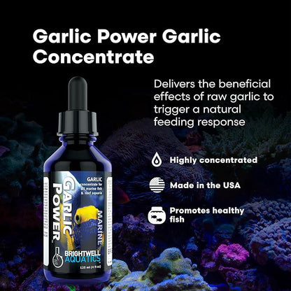 Brightwell Aquatics GarlicPower Garlic Extract for Aquarium Fish Food – Enhances Feeding Response – Boosts Nutrition – Ideal for Marine & Reef Tanks, 125 ml