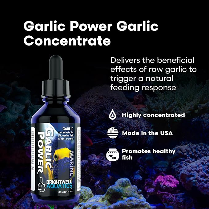 Brightwell Aquatics GarlicPower Garlic Extract for Aquarium Fish Food – Enhances Feeding Response – Boosts Nutrition – Ideal for Marine & Reef Tanks, 30 ml