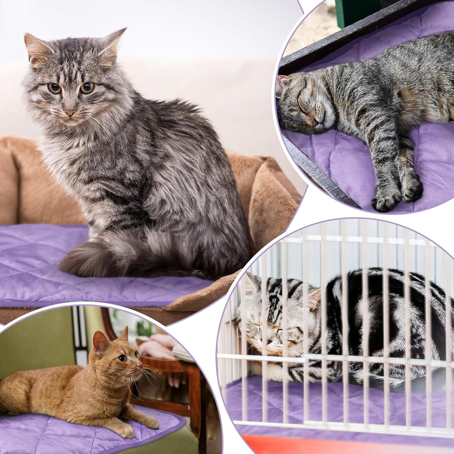 4 Pack Self Heating Cat Pad Self Warming Dog Mat Reflects Body Heat Extra Warm Thermal Pet Pad Washable Dog Cat Bed Crate Bed Mat Blanket(16 x 20 Inch,Purple)