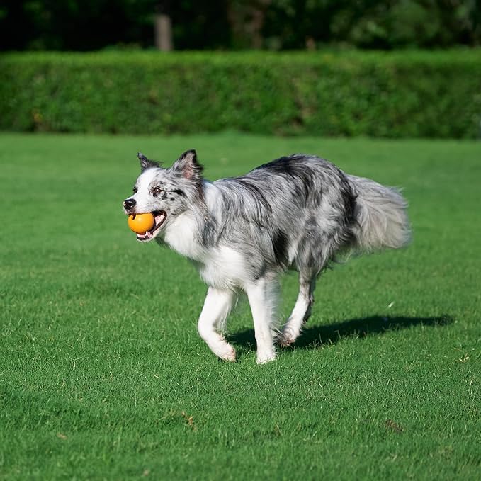 Amazon Basics Dog Toys, Interactive Fetch Rubber Balls, (Pack of 10), 2.5 inch, Multi-Color Blue/Orange